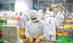 Vụ lỗi hệ thống chứng nhận xuất xứ hàng hóa: Cảm giác bế tắc vẫn chưa chấm dứt