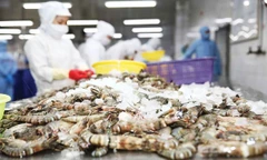 Mỹ giảm mạnh thuế chống bán phá giá với tôm Việt