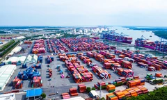 Gần 500 container chè Việt Nam ách tắc tại Pakistan