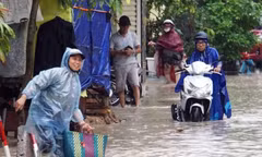 Mưa lớn như trút, nhiều tỉnh miền Bắc thiệt hại nặng