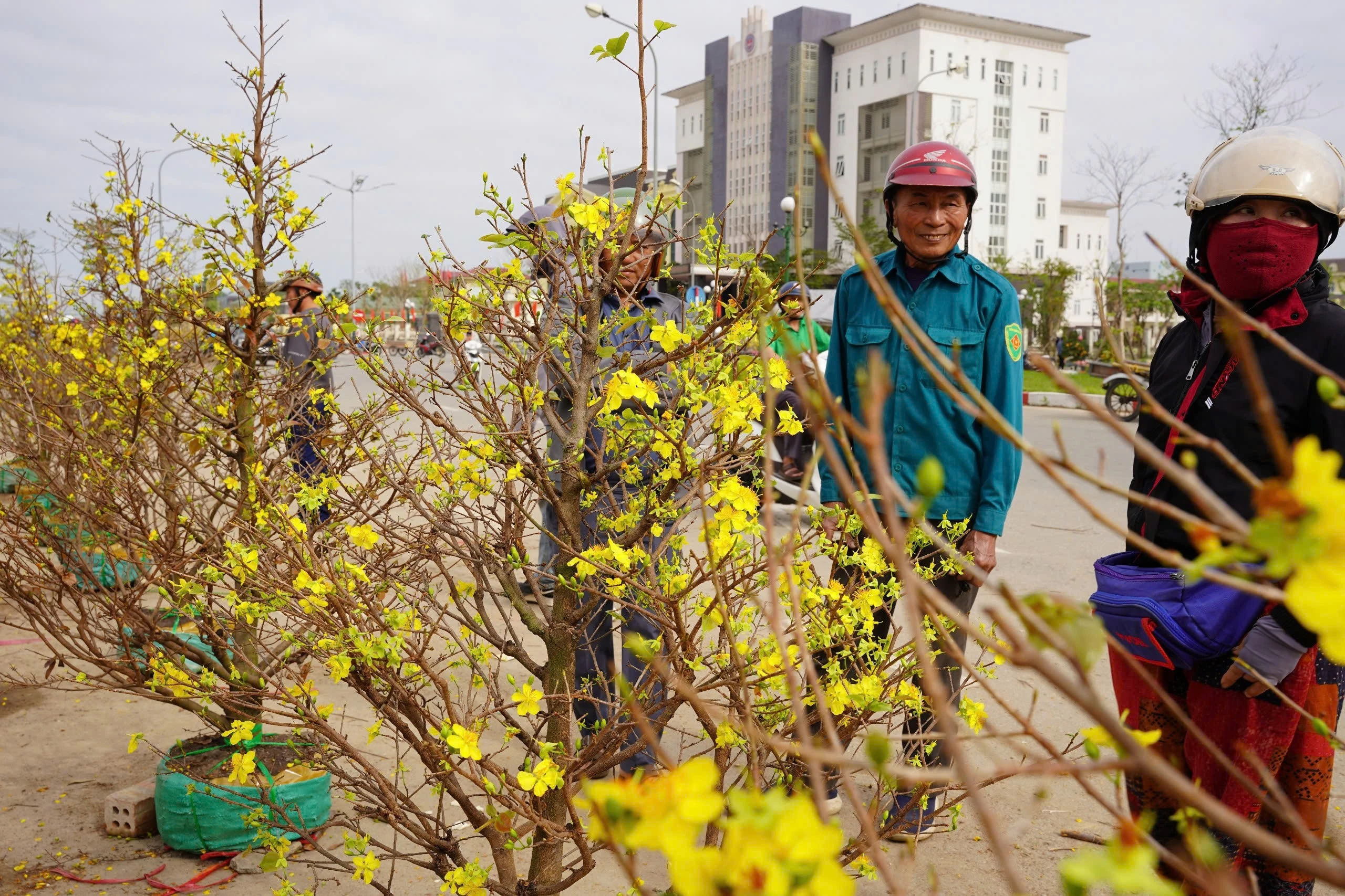 Thị trường hoa Tết Hà Tĩnh sôi động giờ chót, tiểu thương xả hàng giảm giá sâu