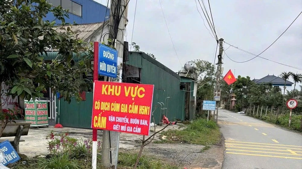 Hà Tĩnh: Bùng phát dịch cúm gia cầm H5N1, tiêu hủy hơn 900 con trước Tết