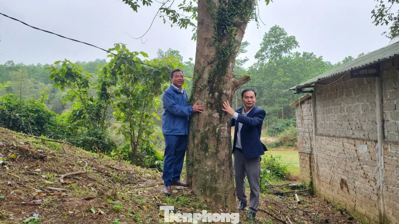 Trầm Tổ - 'Vàng Xanh' Giữa Miền Sơn Cước Hà Tĩnh, Của Để Dành Cho Muôn Đời Sau