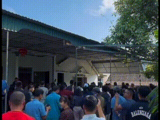 Người dân đổ xô đến xem cặp nhung hươu 'khủng'