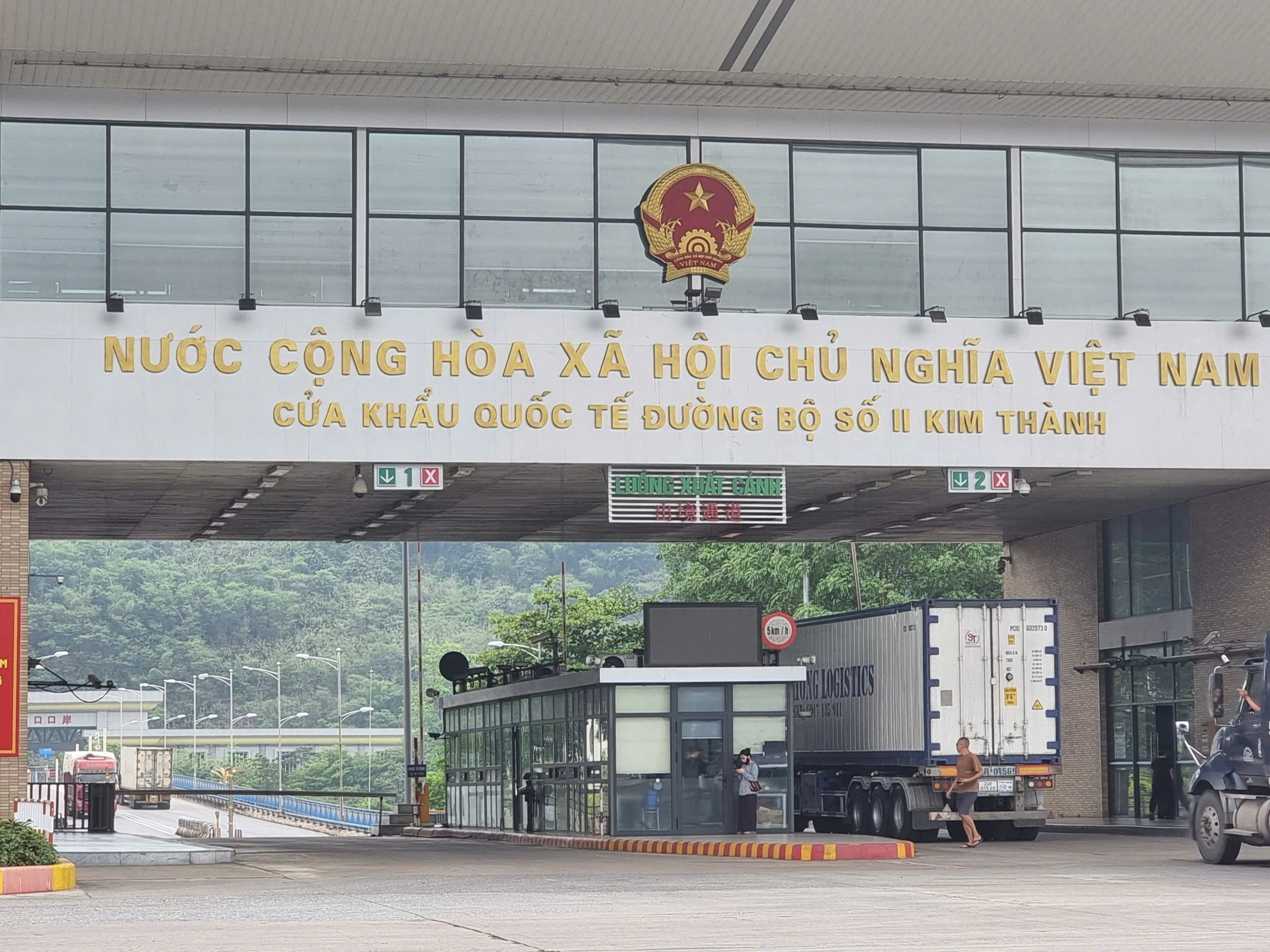 Hải Quan Làm Việc Xuyên Tết, Thông Quan Nông Sản Xuất Khẩu Ngay Mùng 1