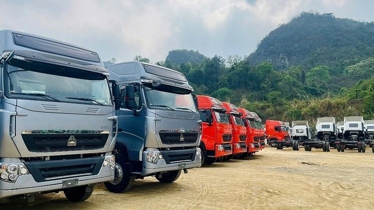 Nhập Khẩu Ô Tô Tăng Mạnh: Xe Tải Bùng Nổ, Xe Con Thận Trọng