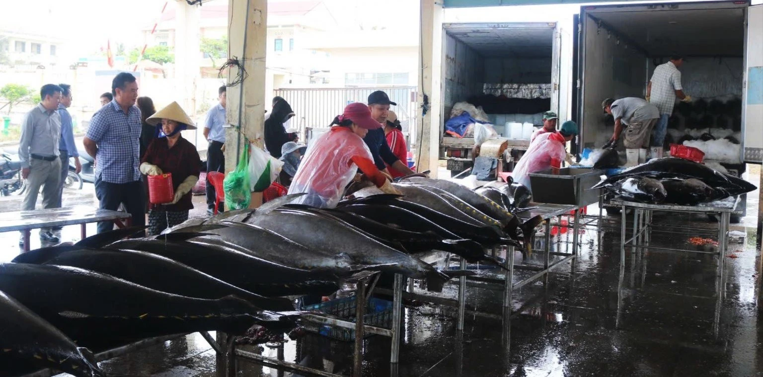 EC sắp kiểm tra IUU: Đắk Lắk và TPHCM ráo riết chuẩn bị, khắc phục lỗ hổng dữ liệu