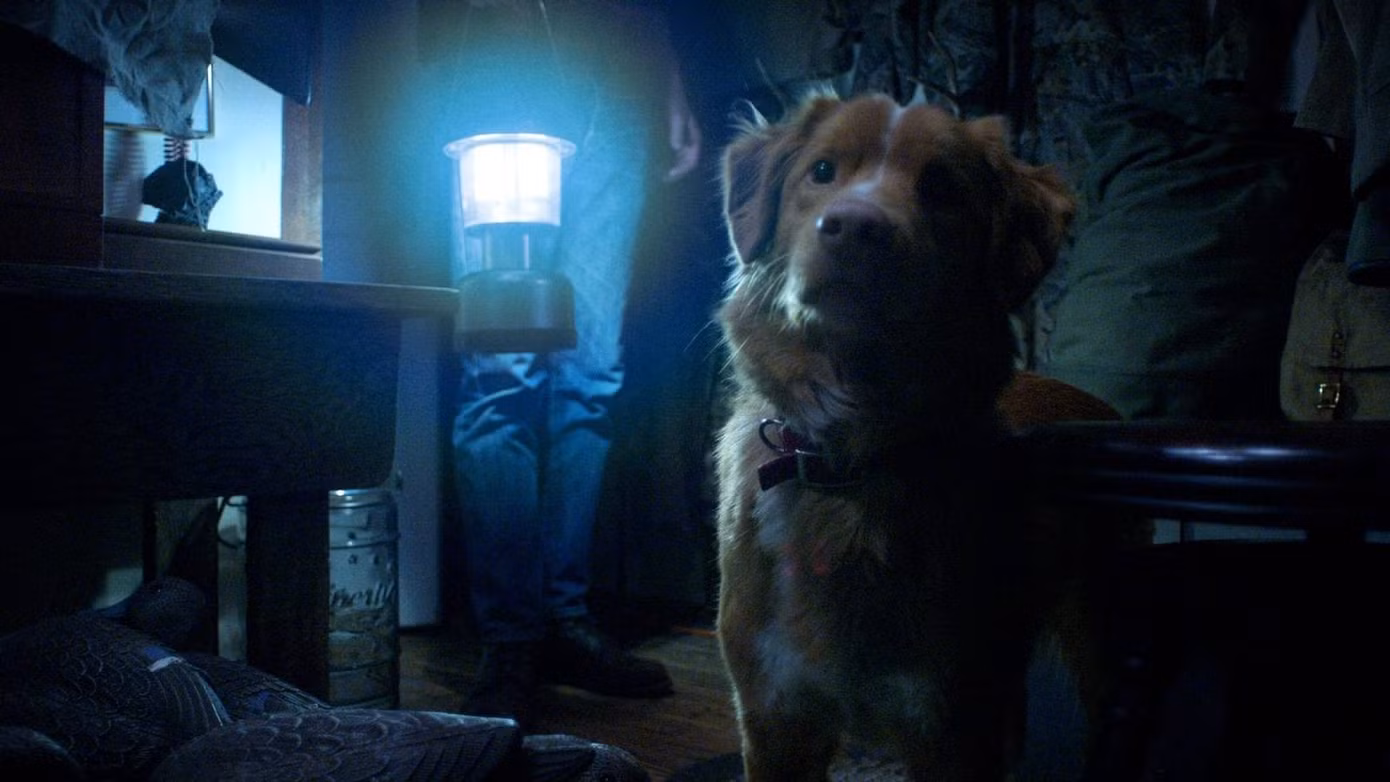 good-boy-movie-still-dog.jpg