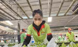 Nghịch lý tiêu chuẩn kép nông sản Việt - kỳ 4: Thị trường nội địa 'dễ dãi' với hàng kém chất lượng?