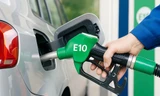 Triển khai xăng E10: Không chờ mốc bắt buộc, chủ động đi trước một bước