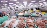Nghịch lý tiêu chuẩn kép nông sản Việt - kỳ 2: Thủy sản lép vế trên sân nhà