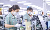 Xuất nhập khẩu đạt kỷ lục, quy mô các tỉnh ra sao sau sáp nhập?