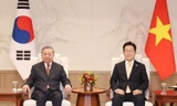 Tổng Bí thư Tô Lâm hội đàm hẹp với Tổng thống Hàn Quốc Lee Jae Myung. (Ảnh: Thống Nhất/TTXVN)