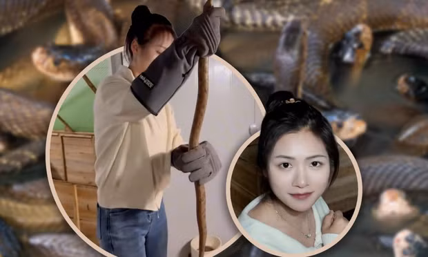 Bỏ phố về quê nuôi rắn, cô gái kiếm tiền tỉ mỗi năm