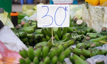 Chuối xanh 28 Tết: Từ nửa triệu ‘rơi’ xuống 30.000 đồng vẫn ế