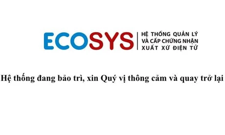 Doanh nghiệp 'đứng ngồi không yên' vì lỗi hệ thống chứng nhận xuất xứ hàng hóa 