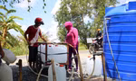 Cần Thơ lên phương án chống thiếu nước do hạn mặn mùa khô