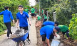 Hơn 2,8 tỉ đồng làm lợi cho người dân ngày cao điểm xây dựng nông thôn mới 