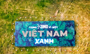 OMO lập kỷ lục Guinness thế giới xếp chữ ‘Việt Nam’ từ banh hạt giống lớn nhất