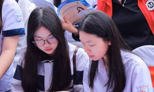 Thí sinh tìm hiểu thông tin tuyển sinh ĐH 2026 Ảnh: NTCC
