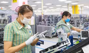 Xuất khẩu năm 2026: Khởi động chu kỳ tăng trưởng mới