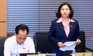'Nếu xử phạt quá thấp, người vi phạm có thể coi tiền phạt là một khoản chi phí trong hoạt động kinh doanh'