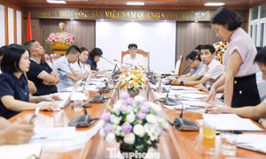 Bắc Ninh chuẩn bị chuỗi sự kiện dày đặc chưa từng có cho Tiền Phong Marathon 2027.