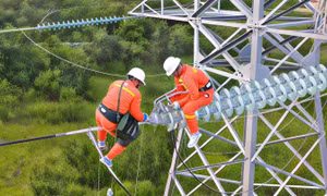 Tổng Công ty Truyền tải điện Quốc gia trước ngã rẽ tách khỏi EVN