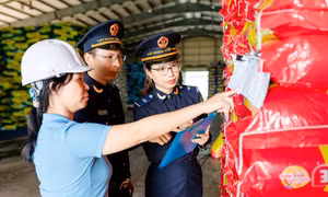 Gom kiểm tra chuyên ngành về hải quan: Doanh nghiệp được gì?