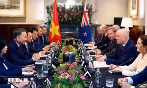 Tuyên bố chung Việt Nam - New Zealand