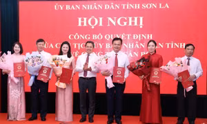Công bố các quyết định của Chủ tịch UBND tỉnh Sơn La về công tác cán bộ