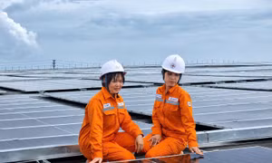 Điện mặt trời mái nhà: Bí kíp giúp doanh nghiệp tiết kiệm tiền tỷ, giữ đơn hàng xuất khẩu 