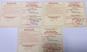 Tờ giấy thứ tư tôi không nhận