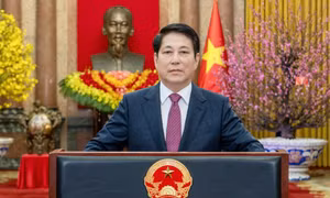 Thông điệp chúc Tết Bính Ngọ 2026 của Chủ tịch nước Lương Cường