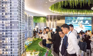 Đề xuất áp thuế cao với đất bỏ hoang, mua bán 'lướt sóng'