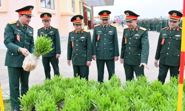 Bộ đội chủ lực gieo mầm xanh, xây dựng môi trường sinh thái bền vững