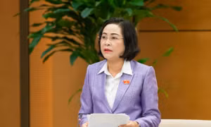 Bộ Chính trị đã có Kết luận quan trọng về công tác bầu cử Quốc hội và HĐND các cấp