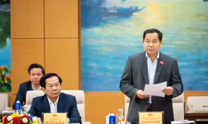 Tổng Thư ký Quốc hội thông tin về nhân sự ứng cử đại biểu Quốc hội và HĐND
