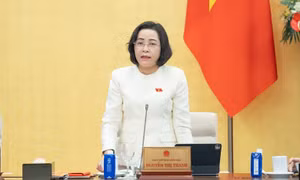 Phó Chủ tịch Quốc hội: Chi phí học thêm tăng cao sau Thông tư 29 của Bộ Giáo dục và Đào tạo