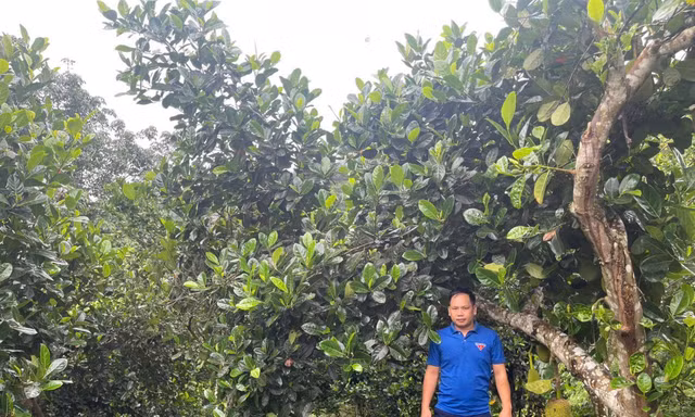 Chàng bí thư đoàn xã gây dựng mô hình VAC, lan tỏa tinh thần lập thân, lập nghiệp trong thanh niên vùng biên