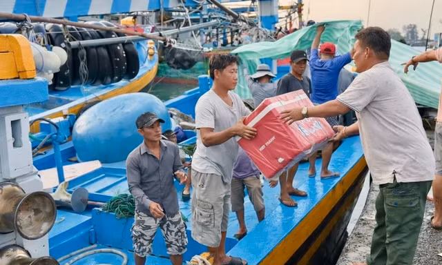 Ngư dân bốc vác các vật dụng cần thiết chuẩn bị ra khơi.