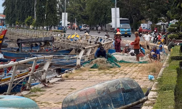 Ngư dân Lâm Đồng chạy đua với bão