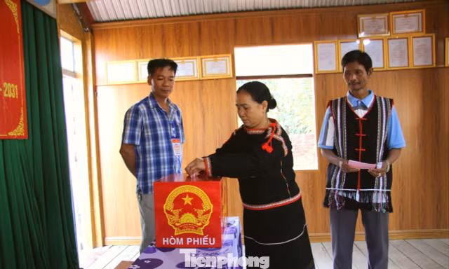 Nhiều lãnh đạo chủ chốt tỉnh Lâm Đồng, Khánh Hòa trúng cử đại biểu Hội đồng nhân dân