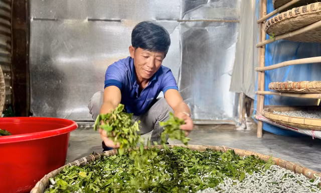 Nghề giúp nhiều hộ dân Lâm Đồng thoát nghèo bền vững