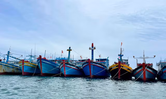 Chủ tịch tỉnh Lâm Đồng chỉ đạo khẩn ứng phó bão số 11