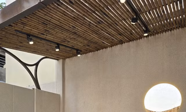 Nhà phố dành tới 20m2 làm sân vườn và kết quả xứng đáng