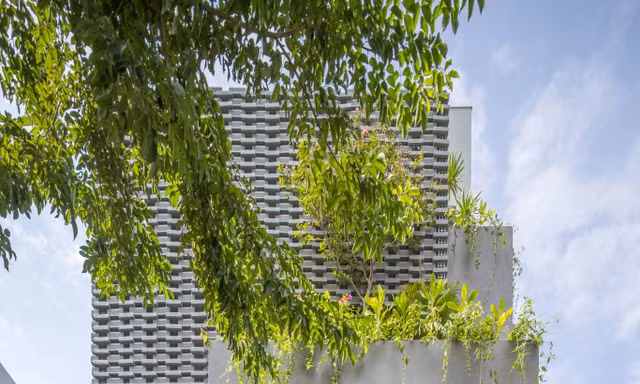 Thiết kế nhà ống với hệ vỏ nhiệt đới