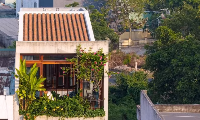 Nhà hình tổ chim: Không gian sống mềm mại giữa phố thị