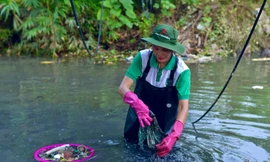 Những chiến binh trẻ tuổi ngày đêm vượt nắng thắng mưa giữ khoảng xanh cho Hà Nội