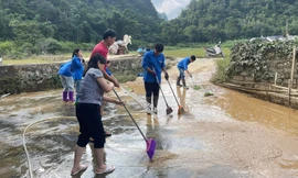 Đoàn viên, thanh niên Lào Cai giúp đỡ người dân khắc phục hậu quả sau bão số 10